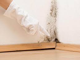 Mold Remediation for Rental Properties